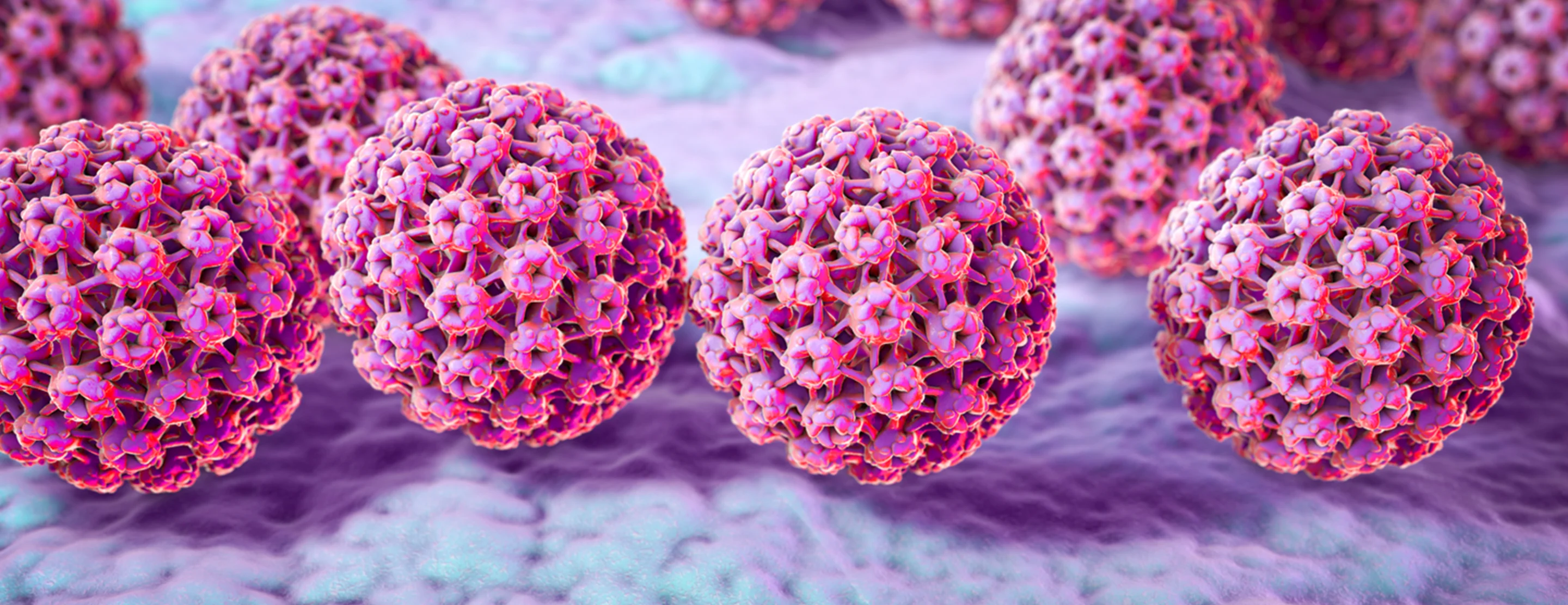 HPV